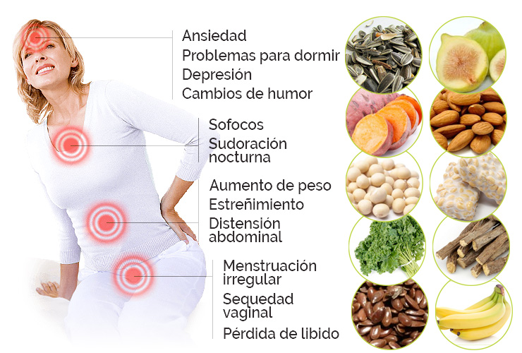 alimentos naturales para alivias sintonmas de menopausia