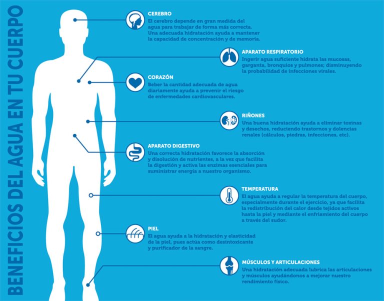 Importancia del agua en la nutrición y tipos de agua - Maia Orgánicos